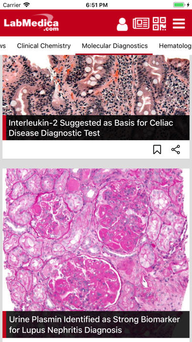 Screenshot #2 pour LabMedica