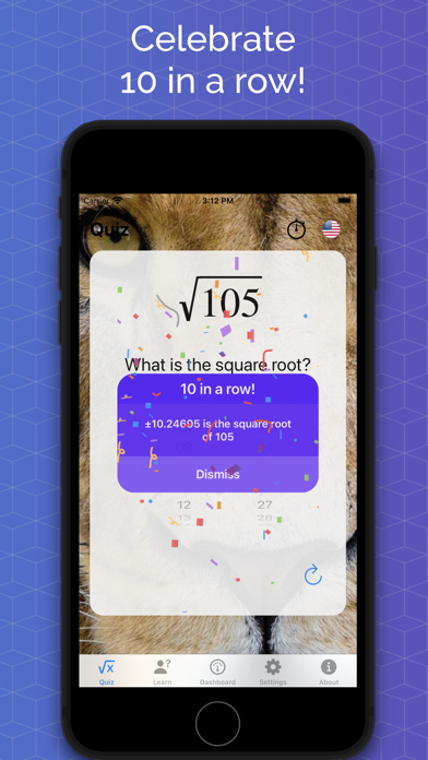 Square Root Pro Screenshot