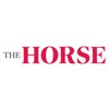 The Horse - iPadアプリ