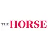 The Horse App Positive Reviews