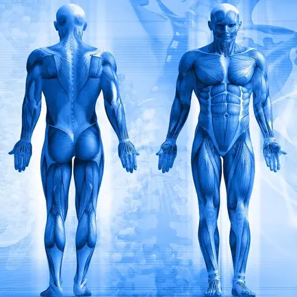 Cool Anatomy Facts Cheats