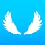 Angel Connection App Alternatives