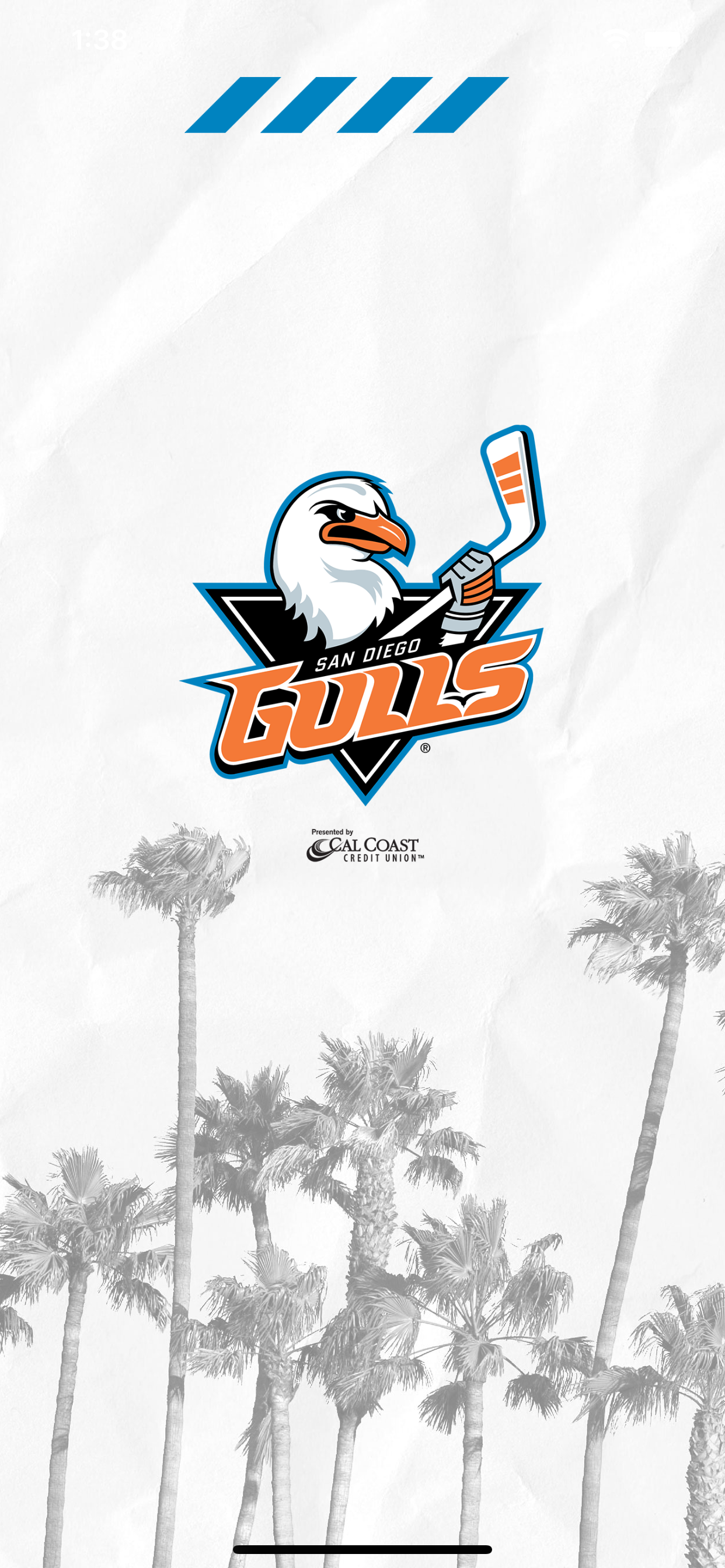 San Diego Gulls Hockey