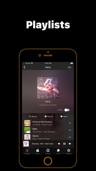 Flacbox: Hi-Res Music Player Screenshot