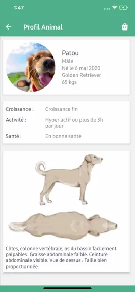 Game screenshot Gamelle - Scan chien & chat mod apk