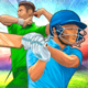 Play Real World Cricket Games