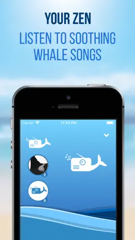 Game screenshot Whale Radio mod apk