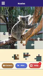 koala love puzzle iphone screenshot 3