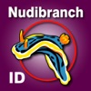 Nudibranch ID E Atlantic Med - iPhoneアプリ