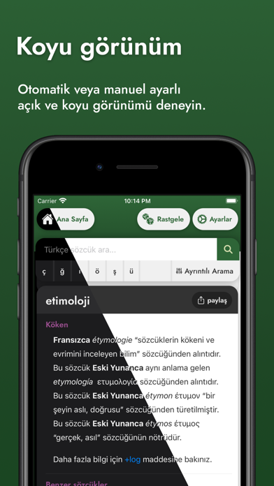 Nişanyan Sözlük Screenshot