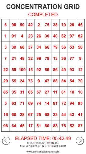 Concentration Grid screenshot 2
