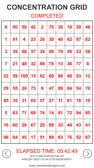 Concentration Grid Screenshot