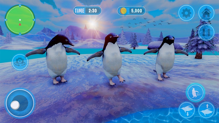 Penguin Bird Simulator 3D screenshot-3