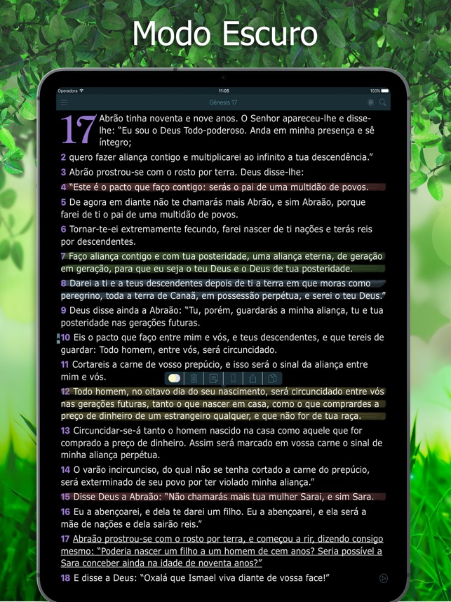 Bíblia Ave Maria de Estudo on the App Store