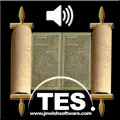 Hebrew Bible Reader
