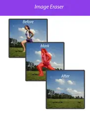 image eraser - inpaint & heal айпад изображения 1