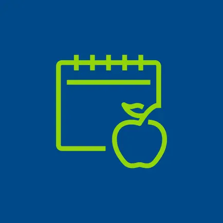 InstaSub For Teachers Читы