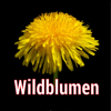 Wildblumen Mitteleuropas - I.M.D. Publicacion C.A.