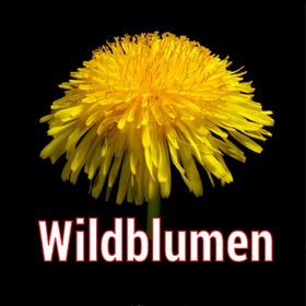 Screenshots (5) Wildblumen Mitteleuropas