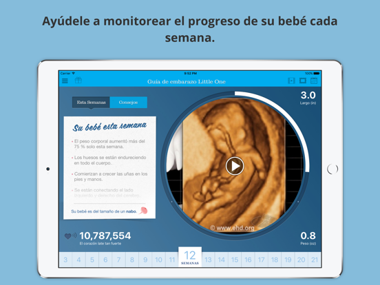 Guía de embarazo Little One iPad screenshot