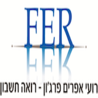 רועי אפרים פרגון רואה חשבון