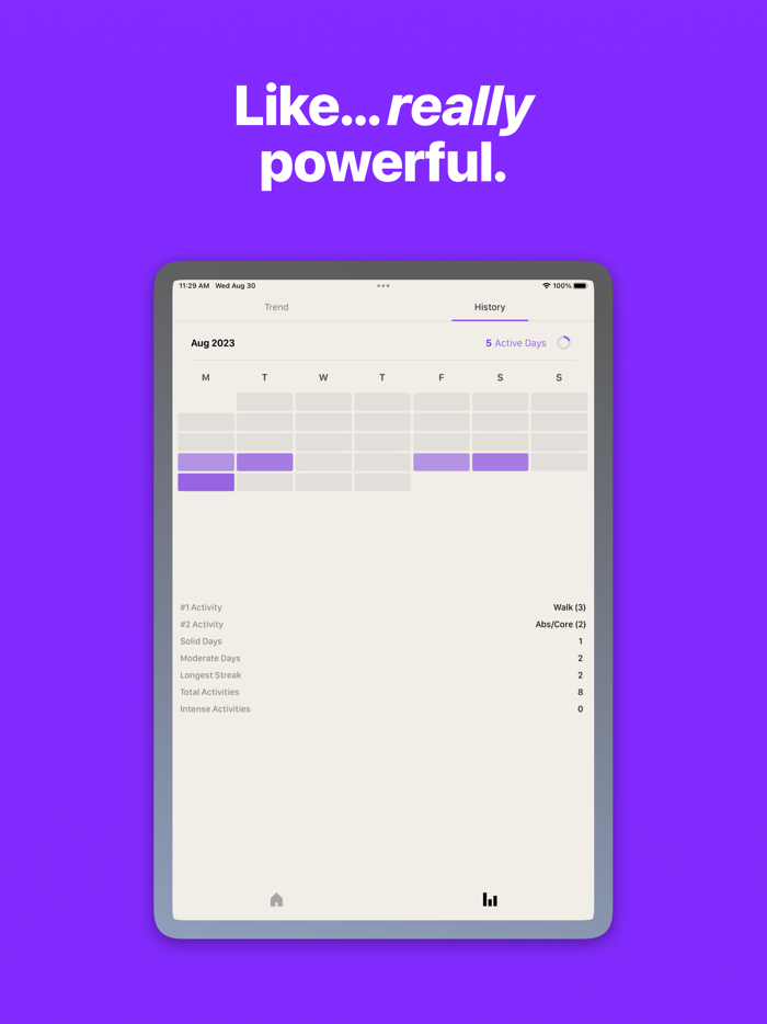 Steddy Stay Consistent