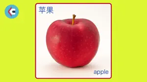 Kids' Encyclopedia-flashcards screenshot 4