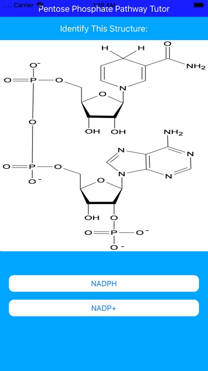 Pentose Phosphate Paths Tutor screenshot-5