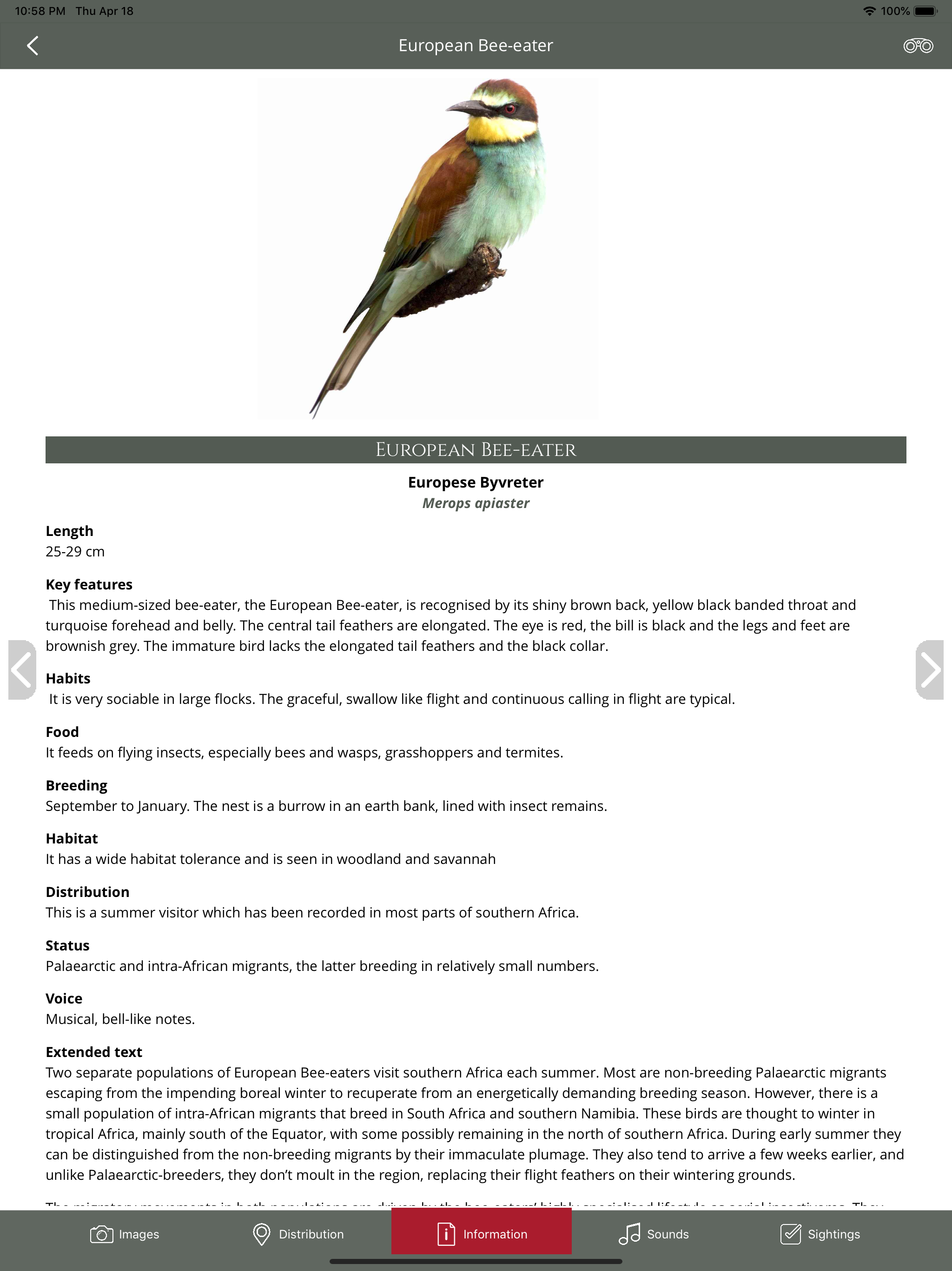 BirdPro