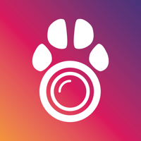 PetCam App - Cámara para perro