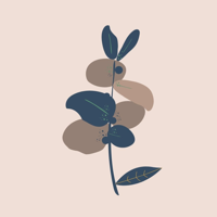 BLOOM Ultrasound-Pregnancy Spa