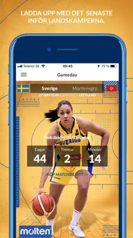 Game screenshot Team Sweden Basketball mod apk