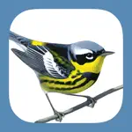 Sibley Birds 2nd Edition App Problems