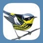 Sibley Birds 2nd Edition app download