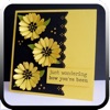 Greeting cards Landscape - iPadアプリ
