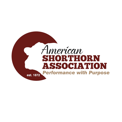 American Shorthorn Association