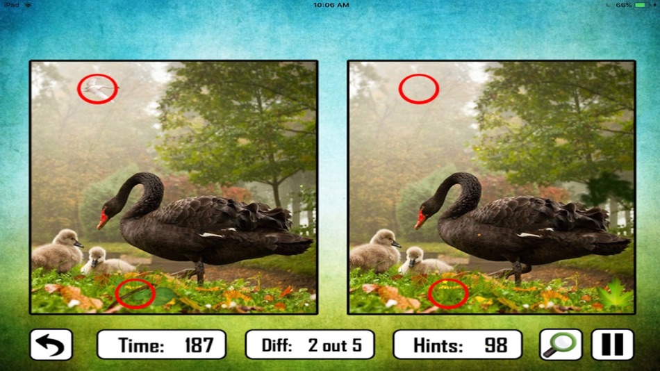 Animal Find The Difference - 2.0 - (iOS)