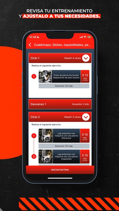 Fit Fighters Screenshot
