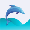 Dolphin Spotter - Phillip Wilder