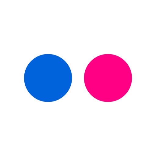 Flickr Icon