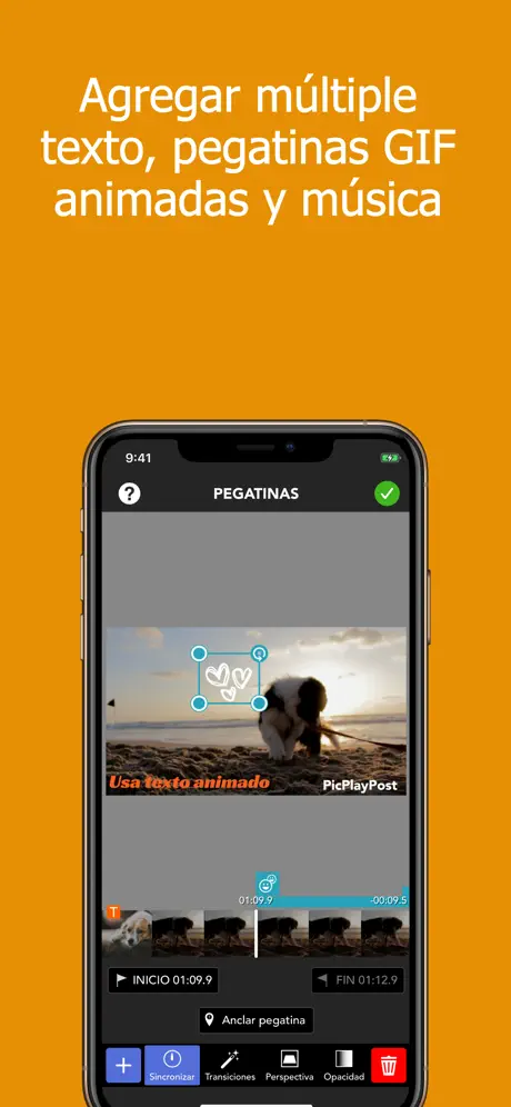 PicPlayPost - Video Editor