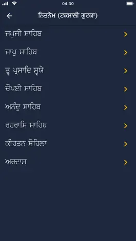 Game screenshot Nihung Santhia Gutka Sahib hack