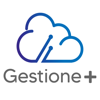 GESTIONE+ - Optisoft Latinoamerica SA