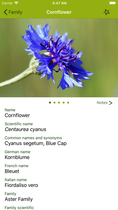 Wildflower Finder Switzerland Screenshot