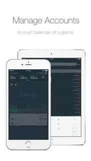 money - track easily iphone screenshot 4