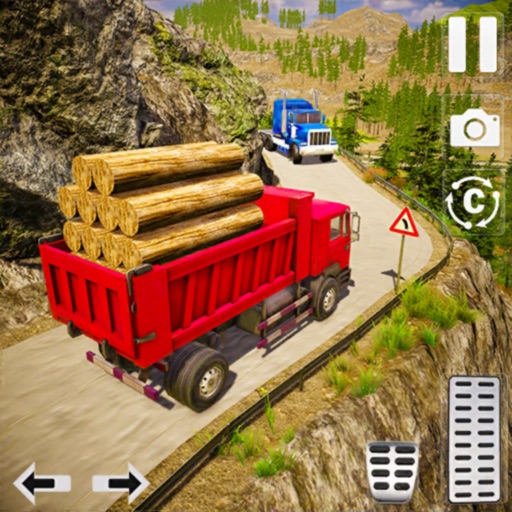 Truck Simulator Offroad Driver