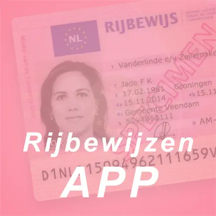 Rijbewijzen Читы
