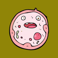 AnatoPato - Practica imágnenes