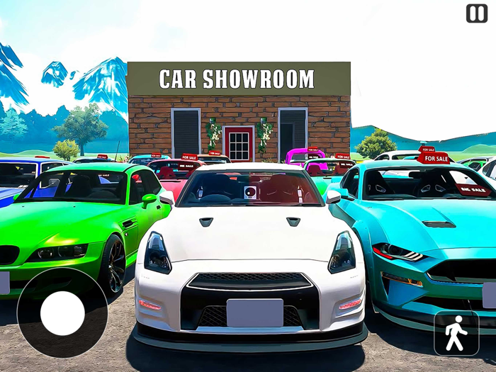 Car Up For Sale In Town