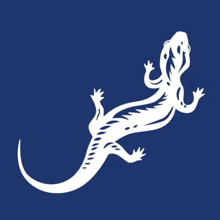 Freyberg High School Читы